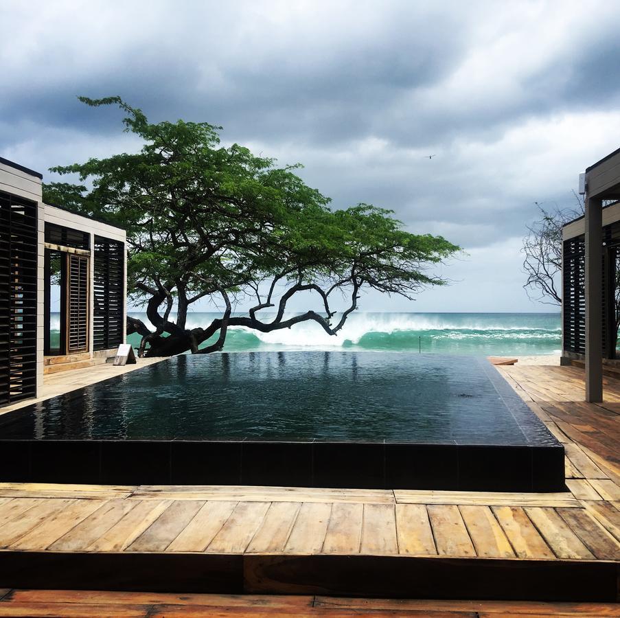 99 Surf Lodge El Limón Dış mekan fotoğraf